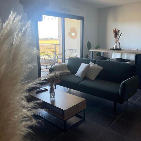 Appartement Vue Vigne Perpignan Ngoại thất bức ảnh