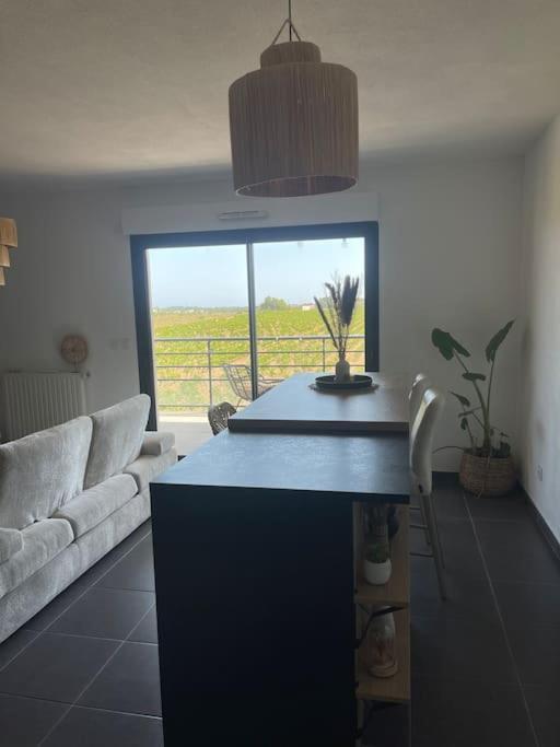 Appartement Vue Vigne Perpignan Ngoại thất bức ảnh