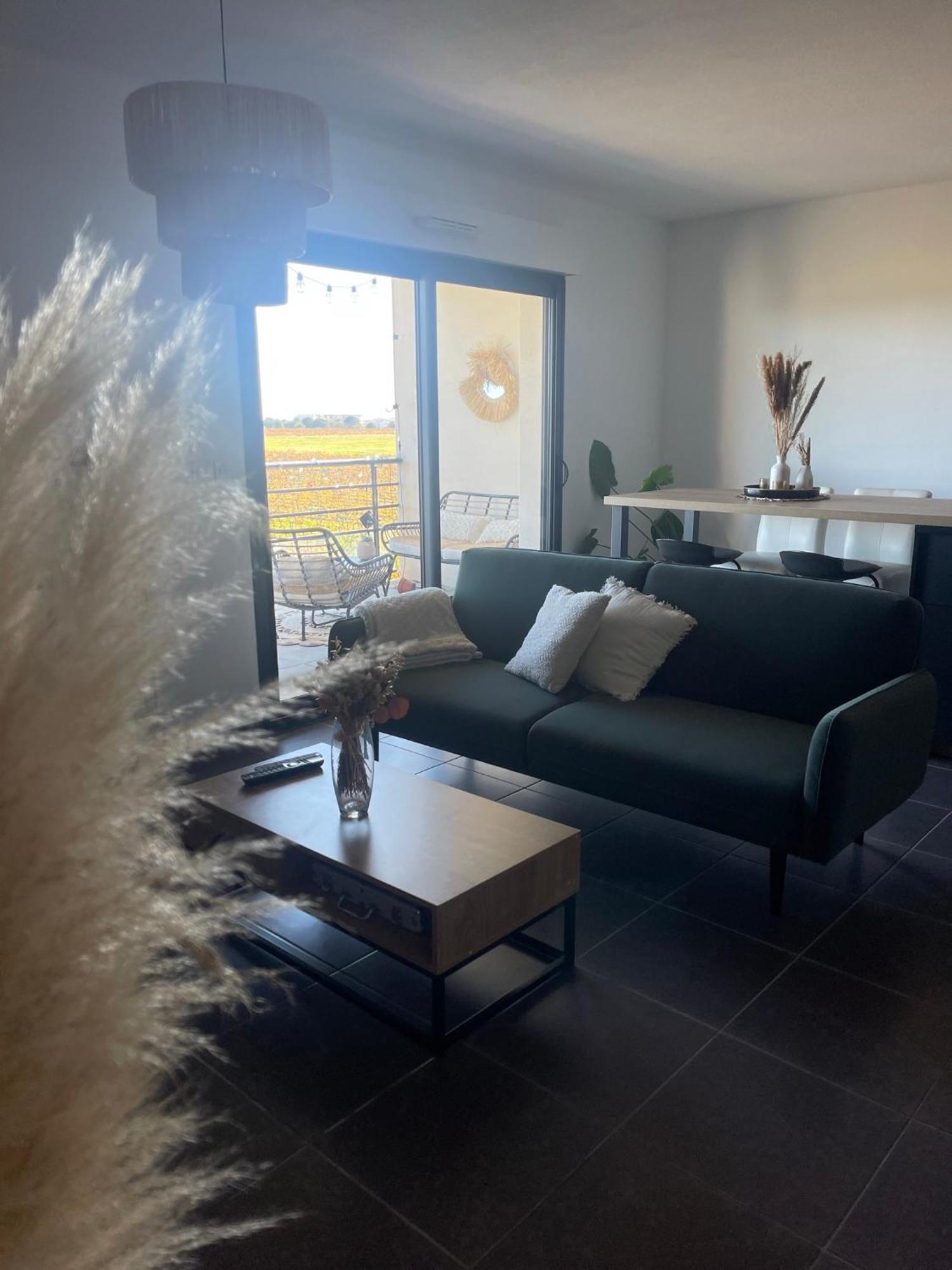 Appartement Vue Vigne Perpignan Ngoại thất bức ảnh